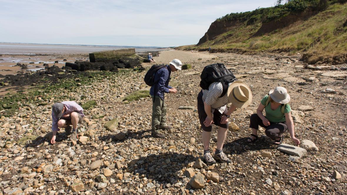 fossil hunting guided tours dorset