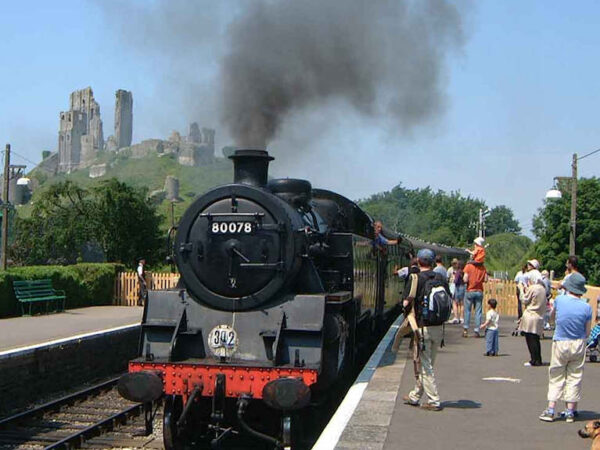 The Steam Train & Jurassic Coast Special